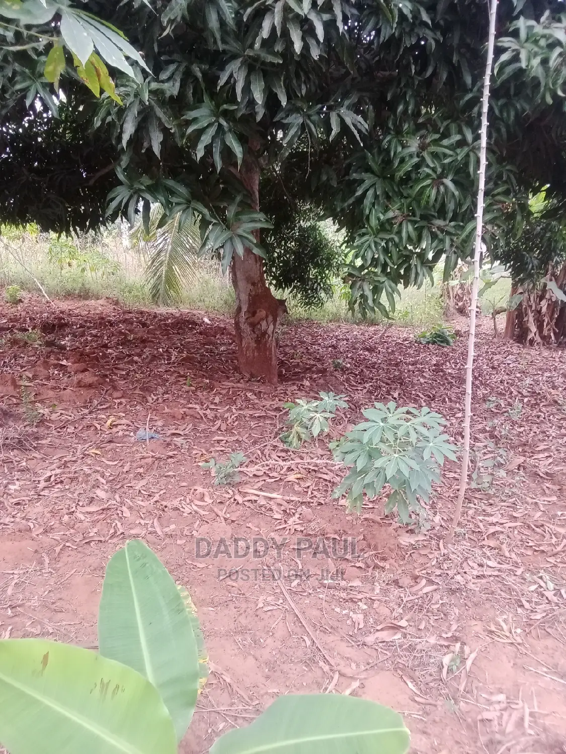 1000sqm Plot for Sale