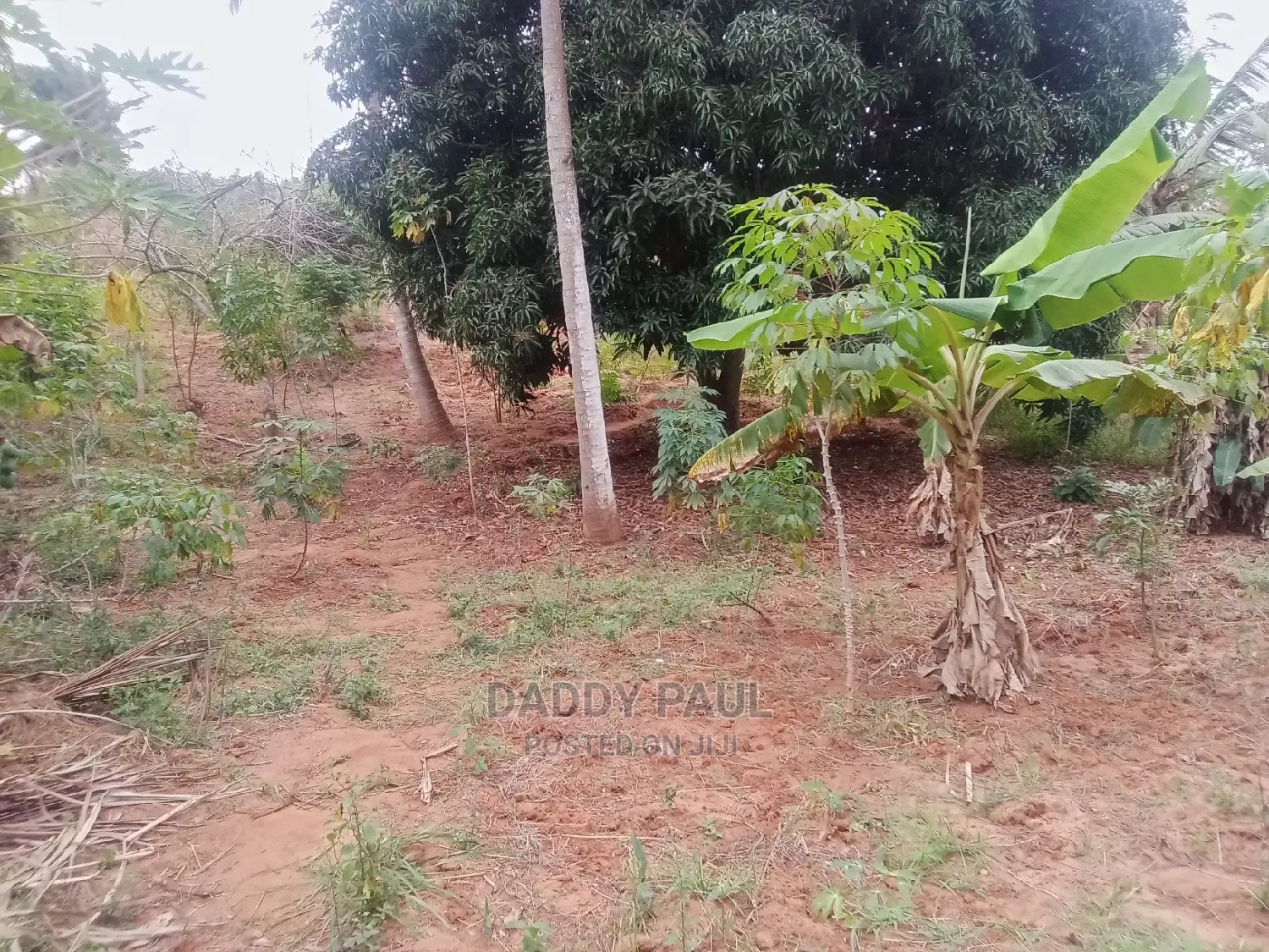 1000sqm Plot for Sale