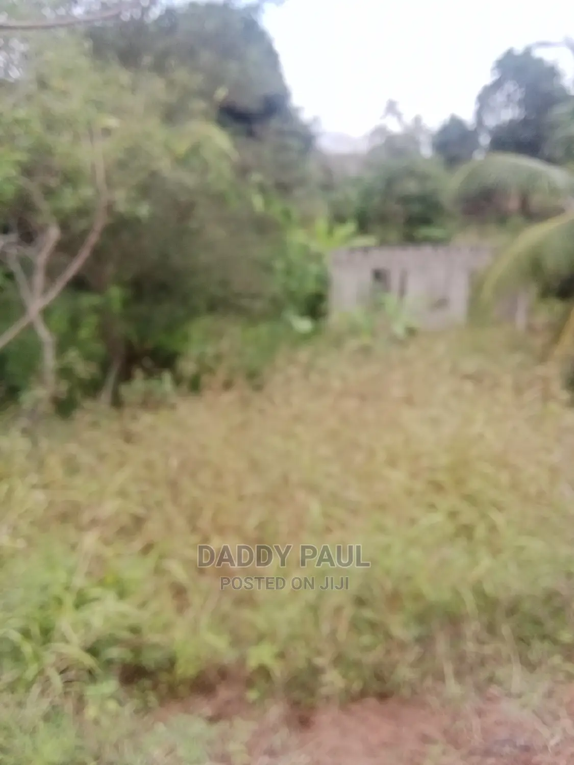1000sqm Plot for Sale