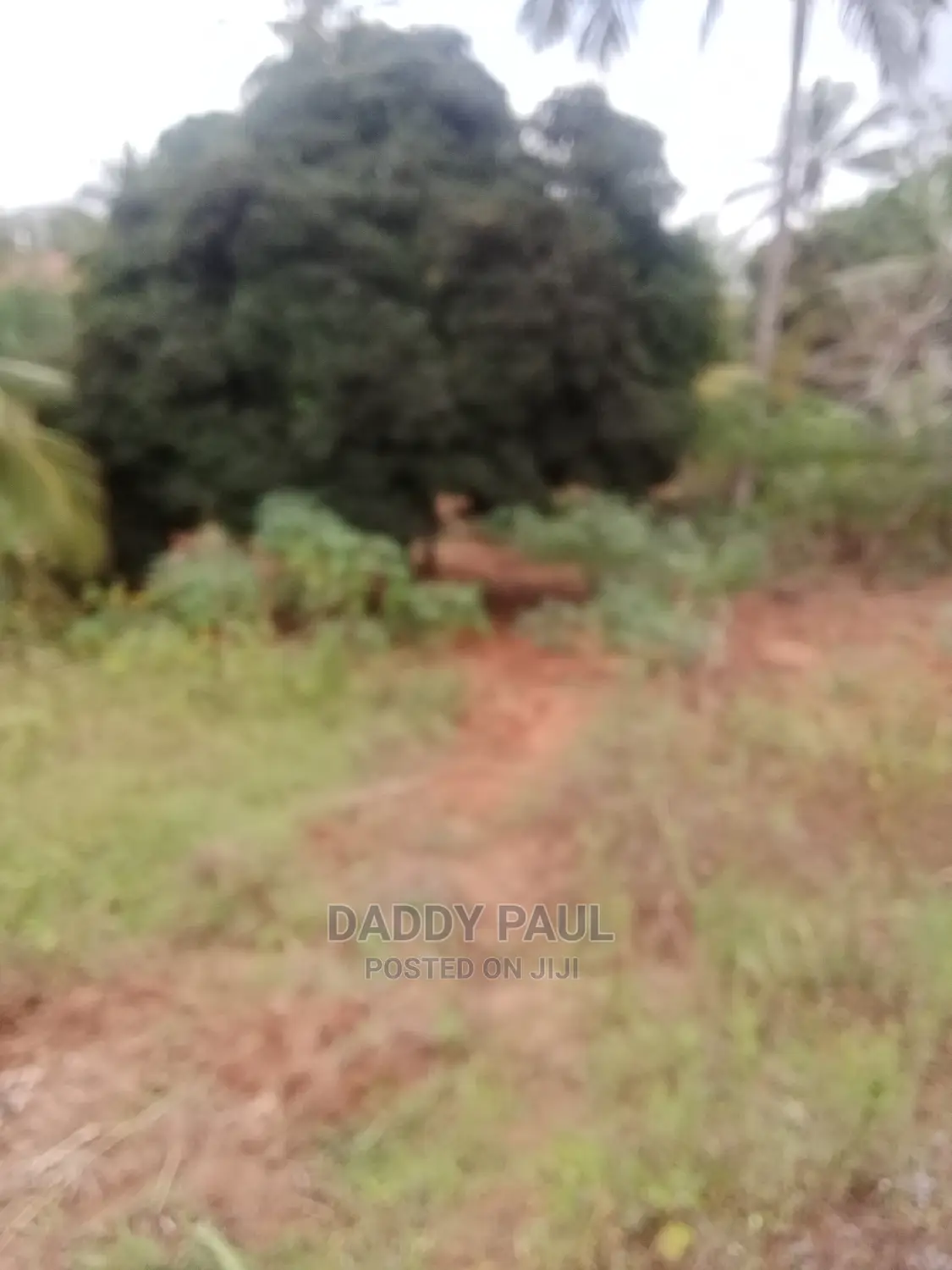 1000sqm Plot for Sale