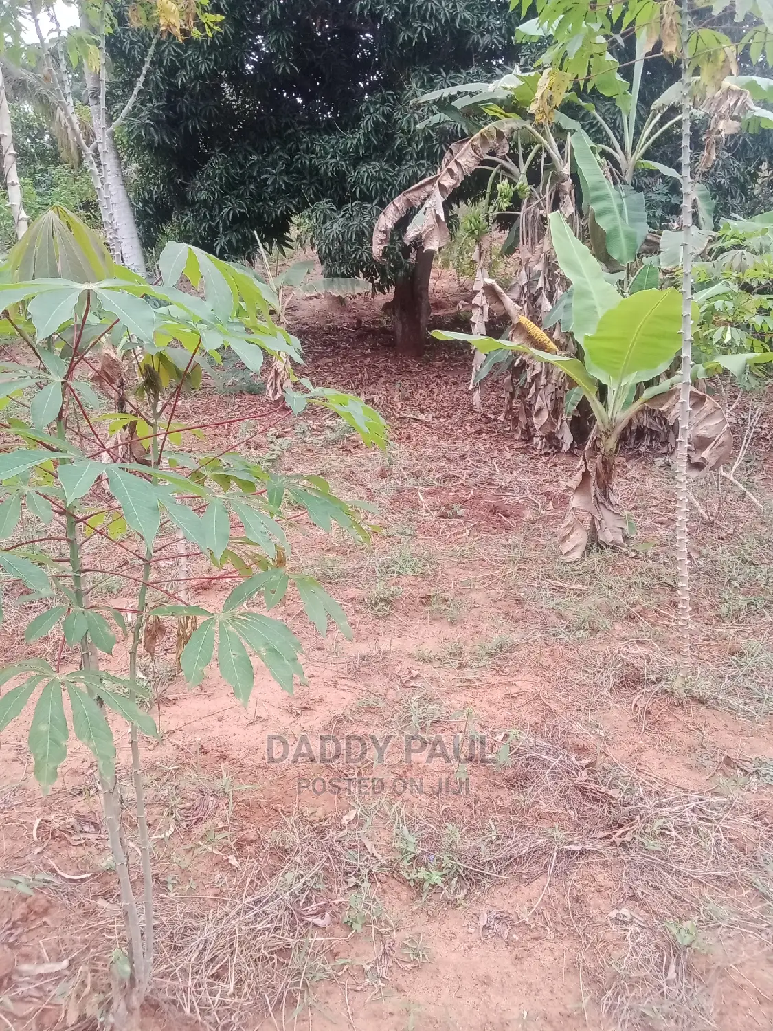 1000sqm Plot for Sale