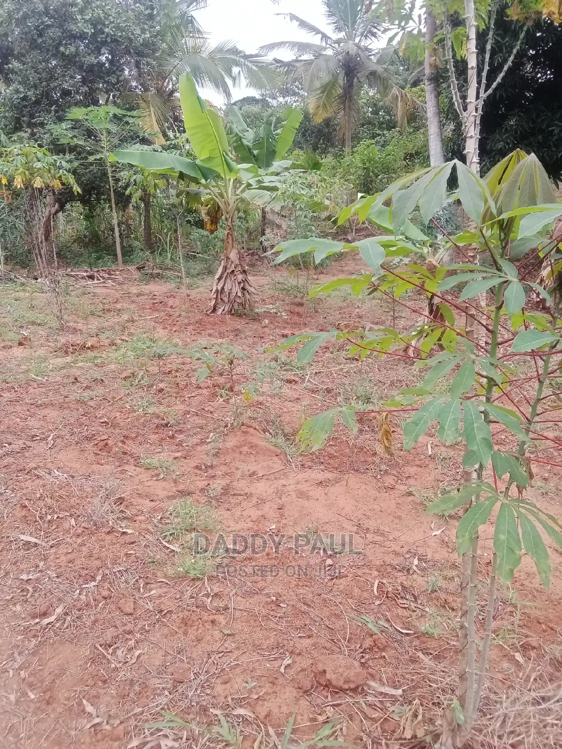 1000sqm Plot for Sale
