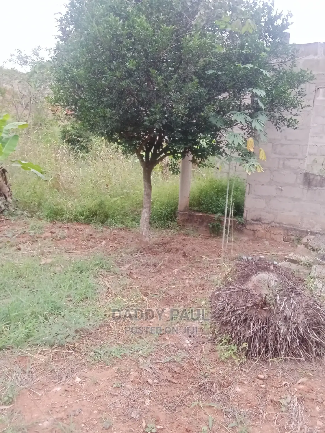 1000sqm Plot for Sale