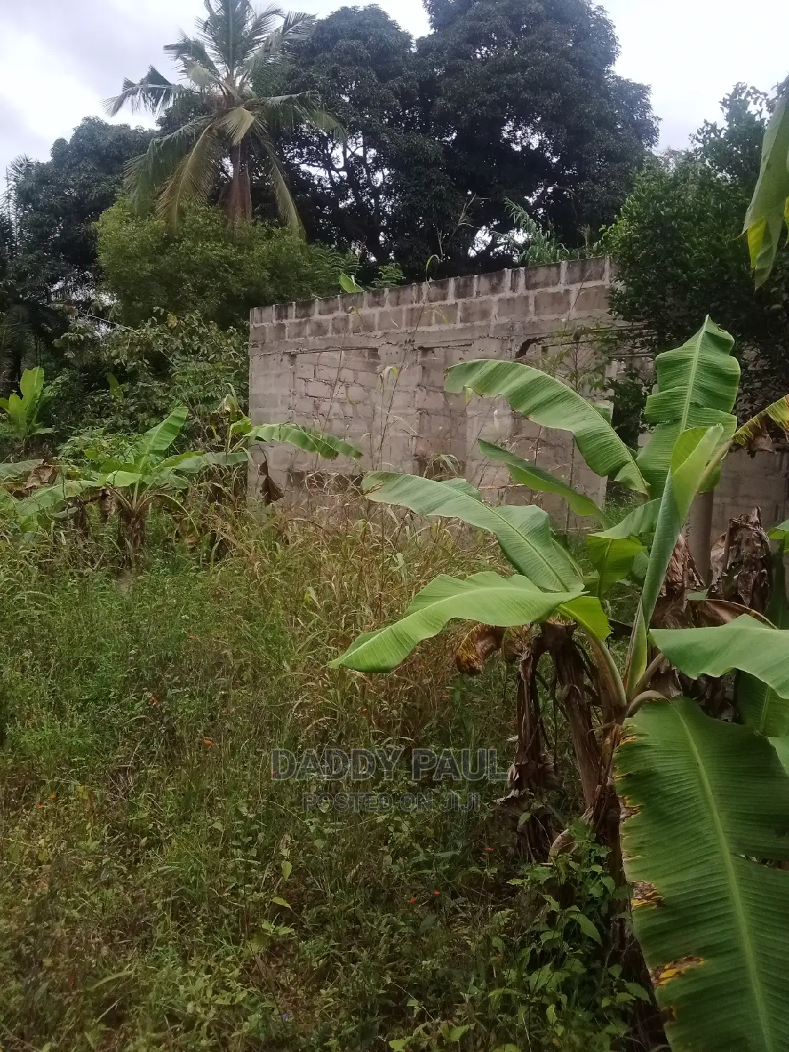 1000sqm Plot for Sale
