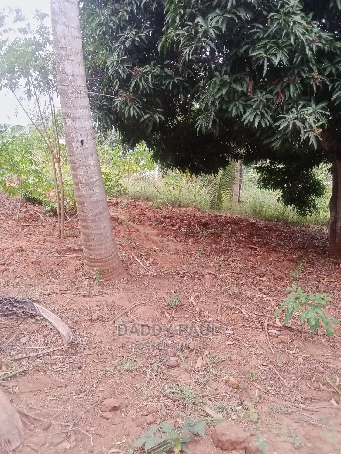 1000sqm Plot for Sale