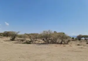 Tourist Land for Sale in Mto Wa Mbu, Arusha Lake Manyara