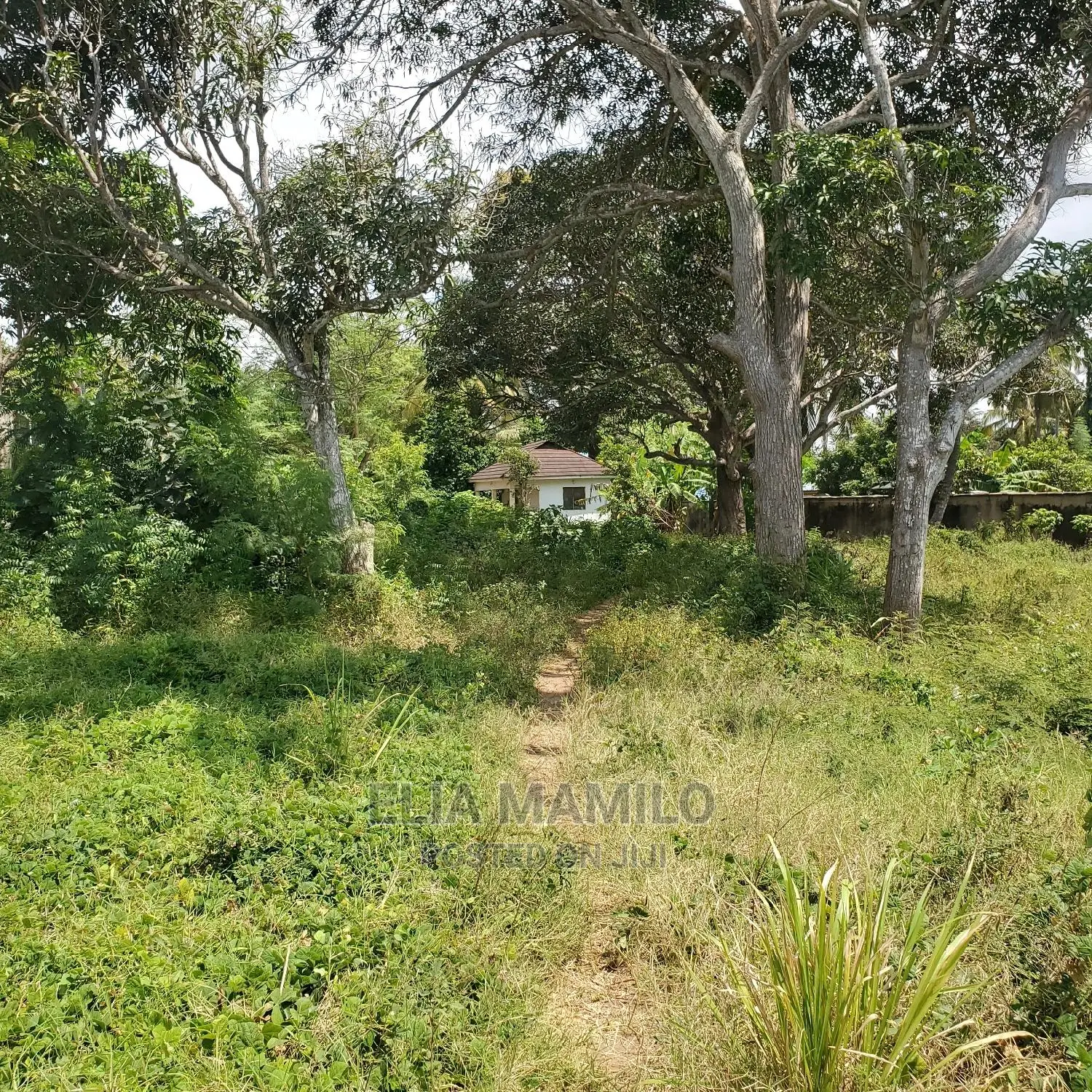 Beach Plot for Sale in Dar ES Salaam, Mjimwema, Maweni.