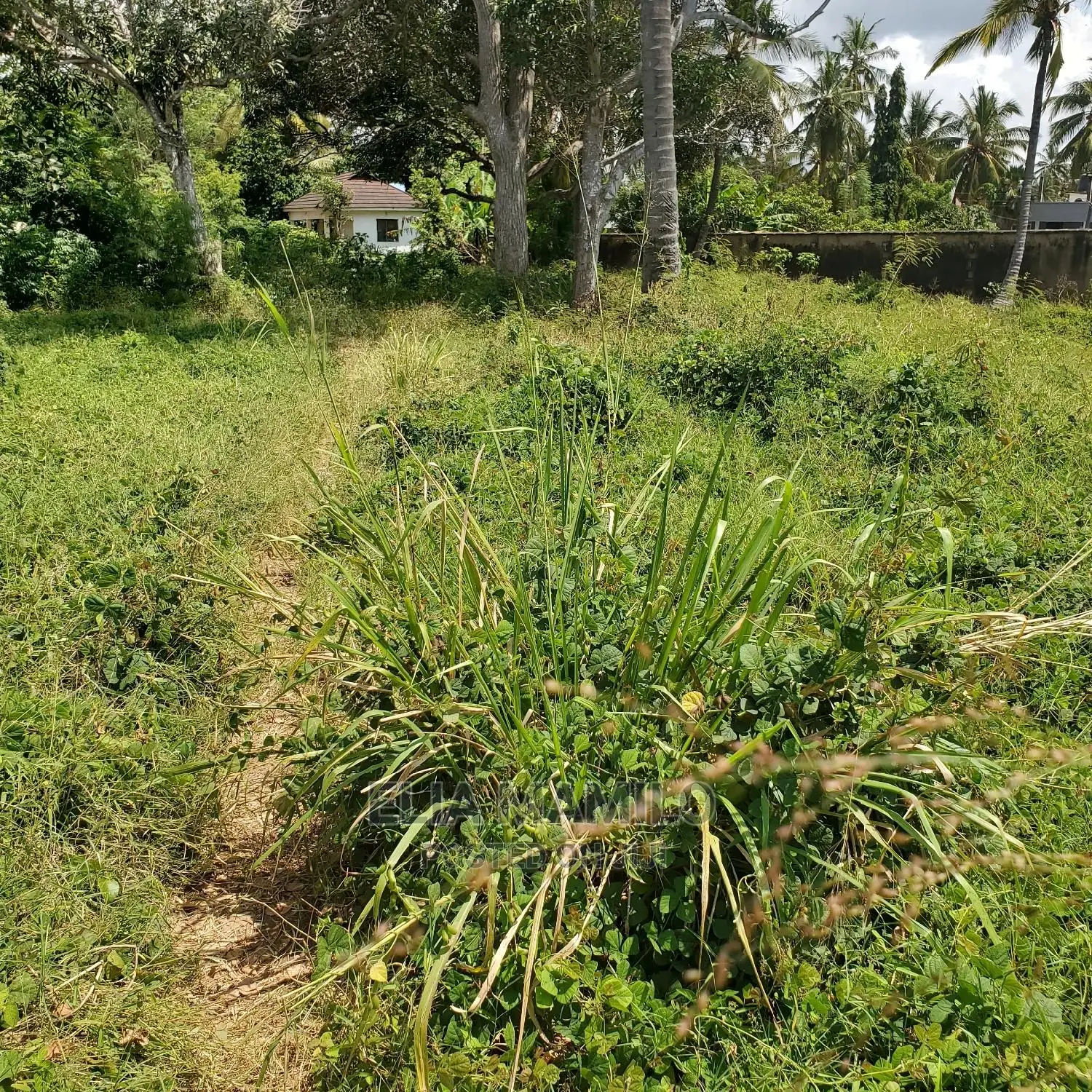 Beach Plot for Sale in Dar ES Salaam, Mjimwema, Maweni.