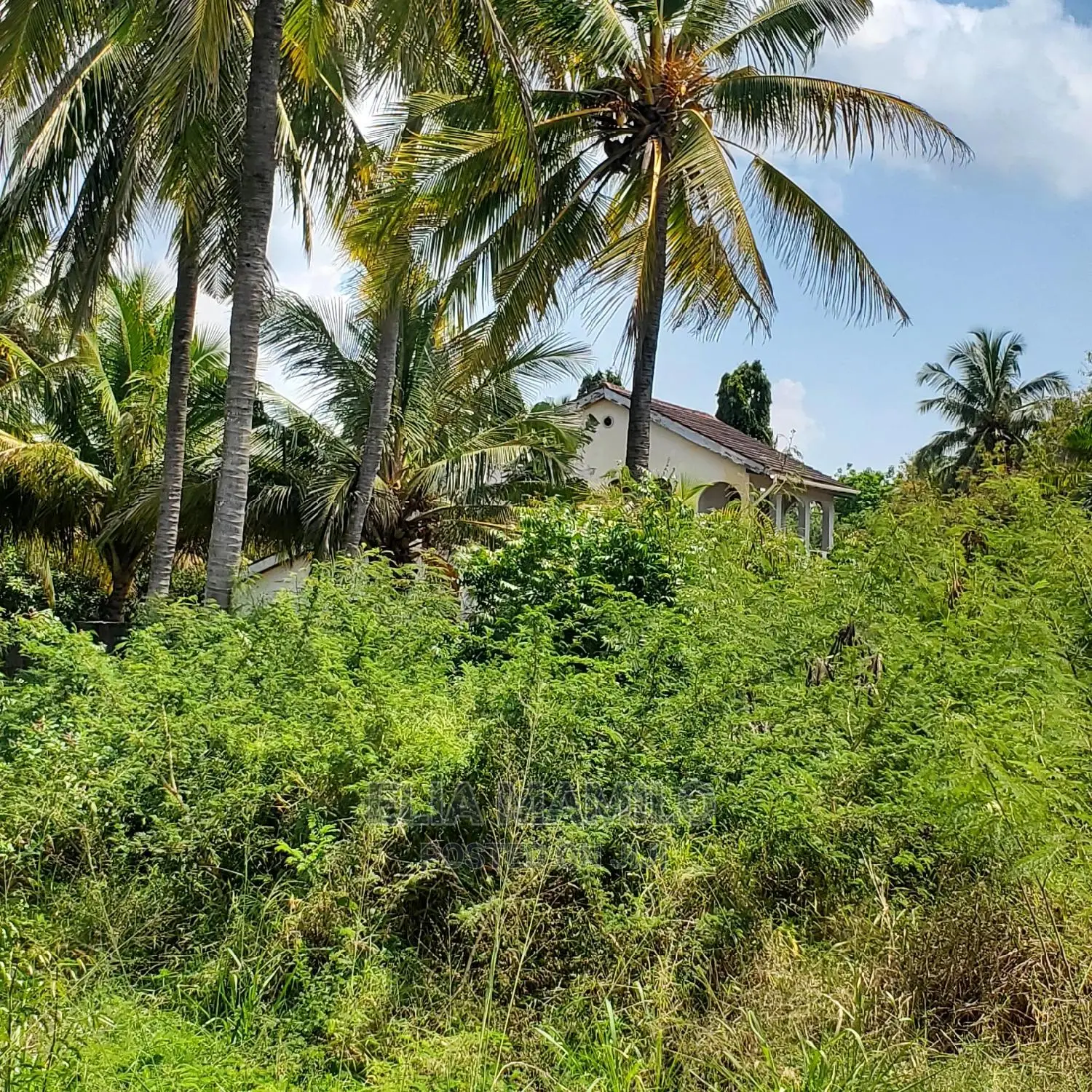 Beach Plot for Sale in Dar ES Salaam, Mjimwema, Maweni.