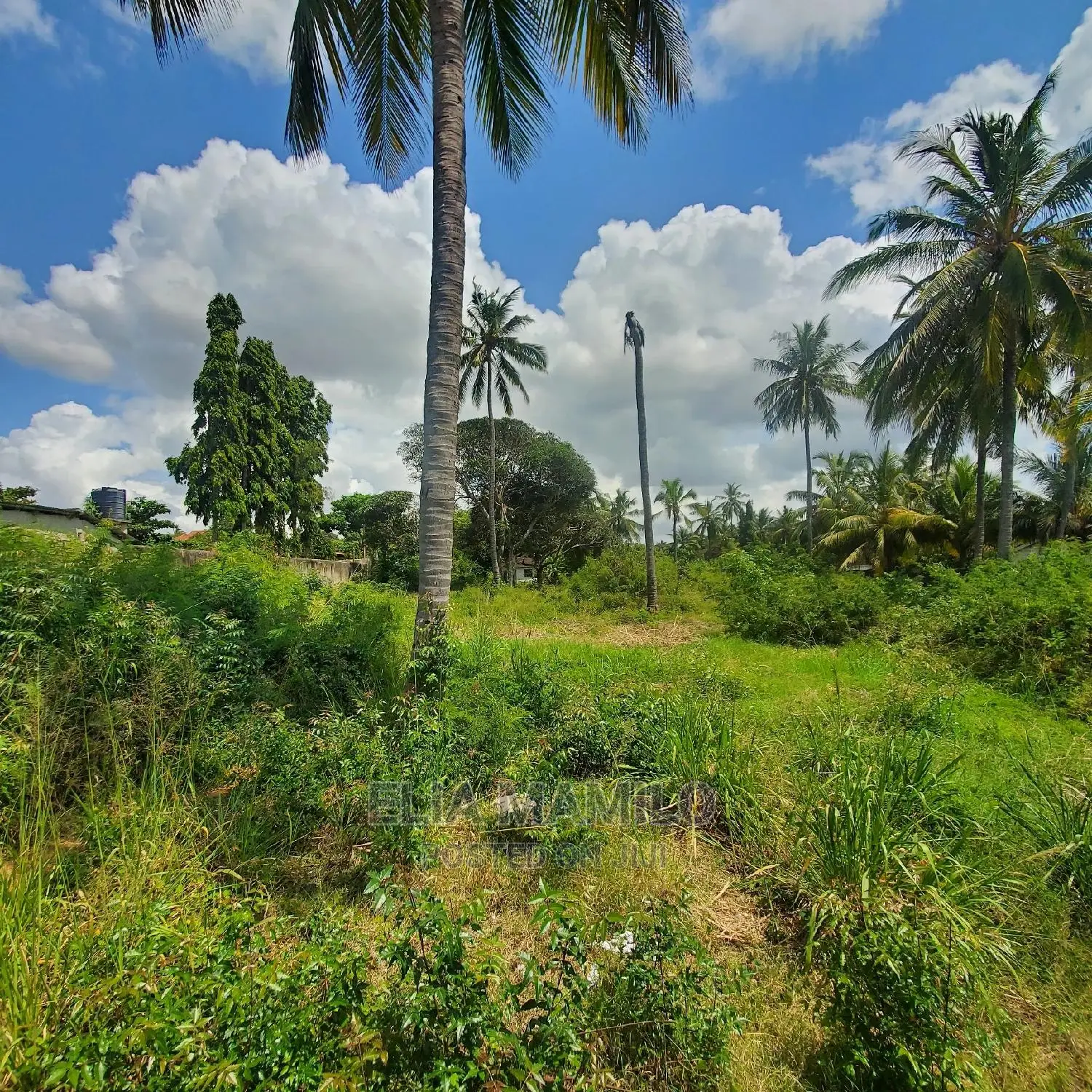 Beach Plot for Sale in Dar ES Salaam, Mjimwema, Maweni.