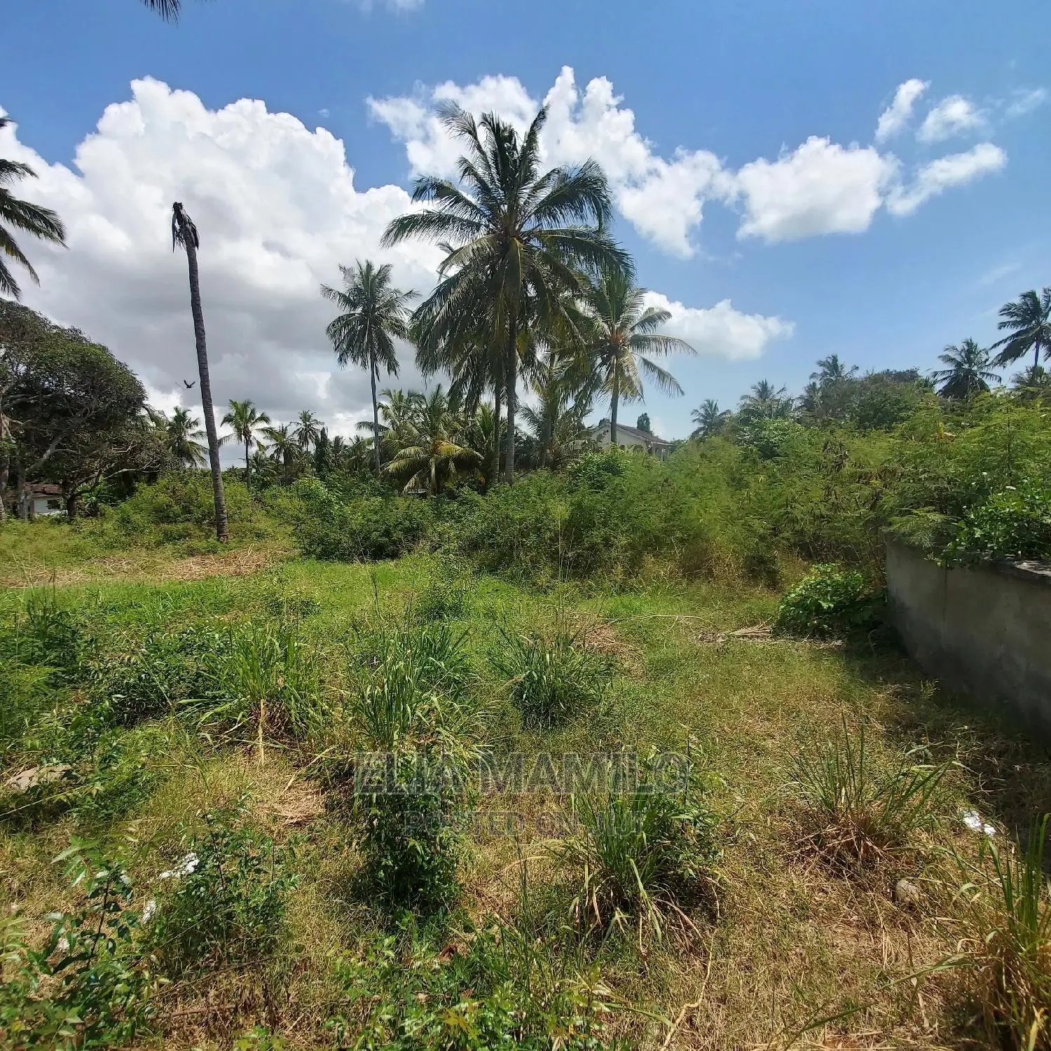 Beach Plot for Sale in Dar ES Salaam, Mjimwema, Maweni.