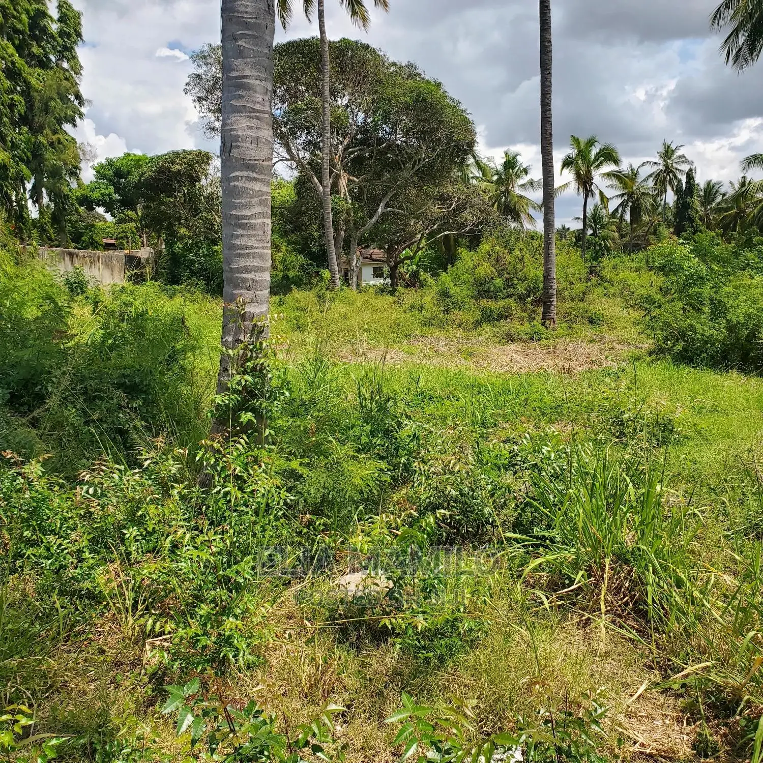 Beach Plot for Sale in Dar ES Salaam, Mjimwema, Maweni.