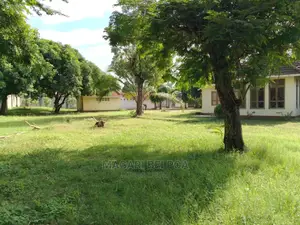 Eneo Linauzwa Nzuri Kwa Yard