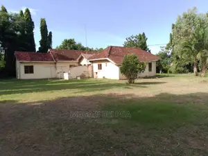 Eneo Linauzwa Nzuri Kwa Yard