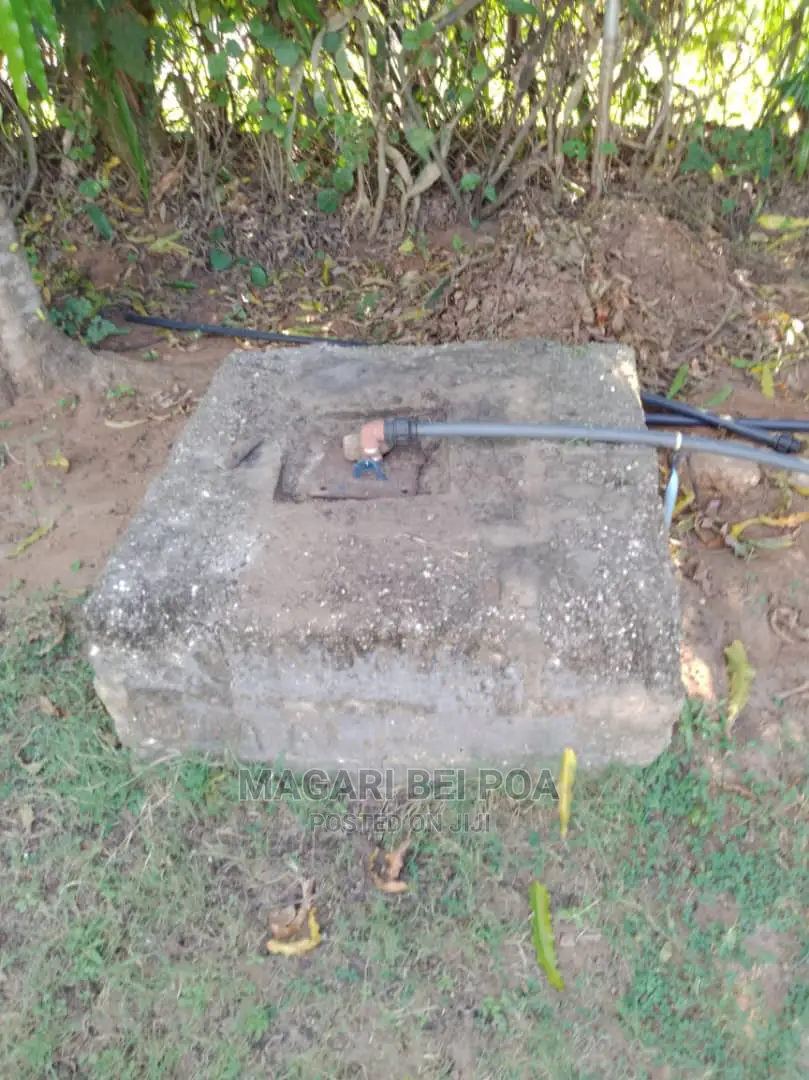 Eneo Linauzwa Nzuri Kwa Yard