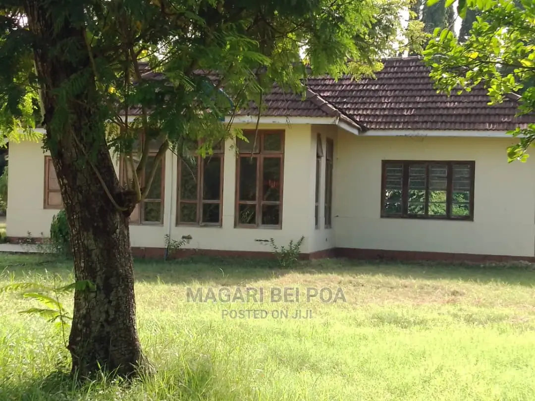 Eneo Linauzwa Nzuri Kwa Yard