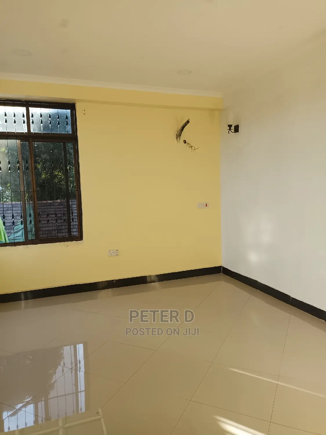 2bdrm Apartment in Mikocheni for rent