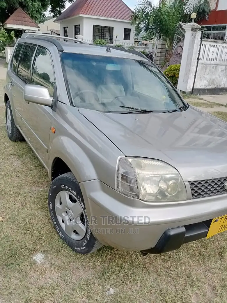 Nissan X-Trail 2.0 Comfort 2005 Silver