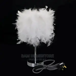Orstrich Feather Decor Lamp