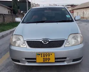 Toyota Corolla RunX 2003 Silver