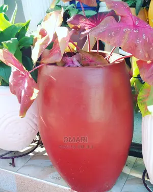 Flower Pots