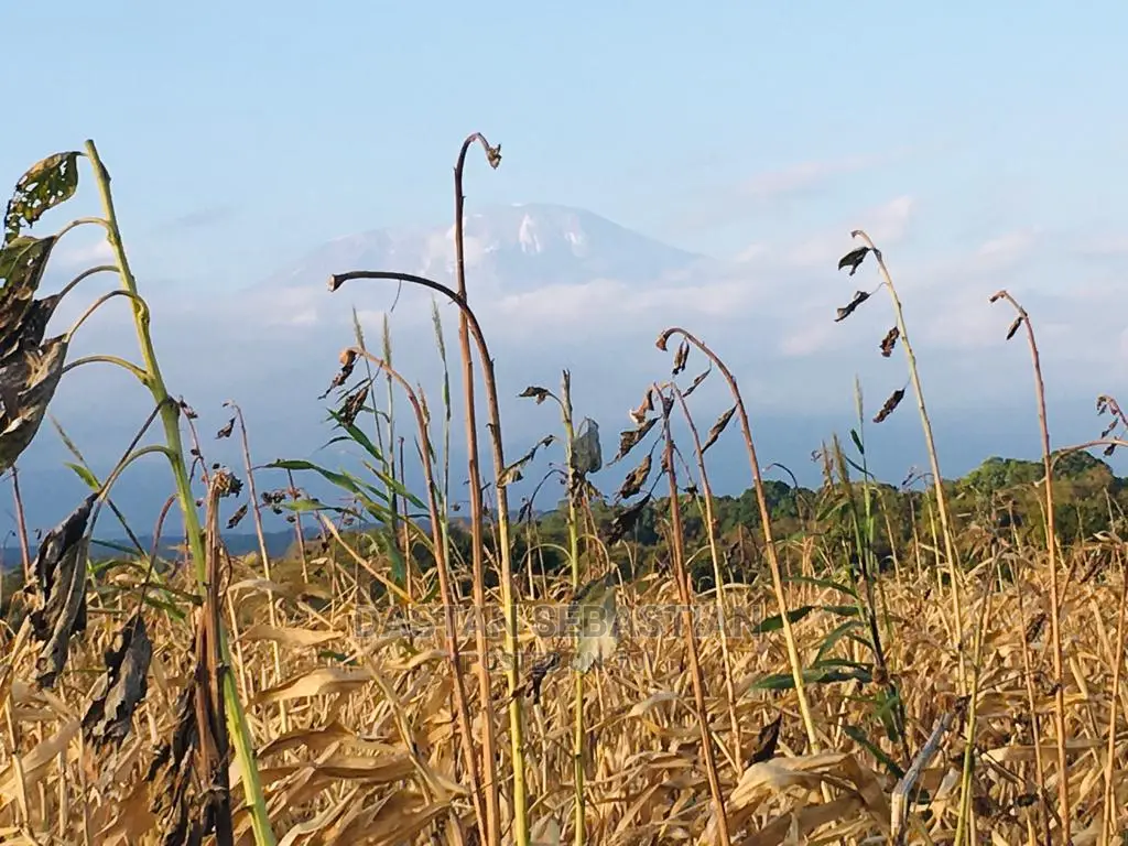 Arusha Na Kilimanjaro