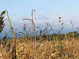 Arusha Na Kilimanjaro