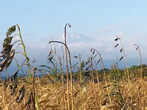 Arusha Na Kilimanjaro