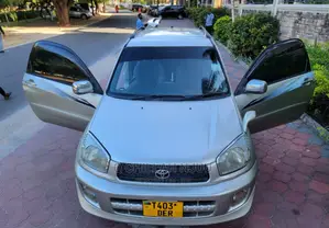 Toyota RAV4 2004 Silver