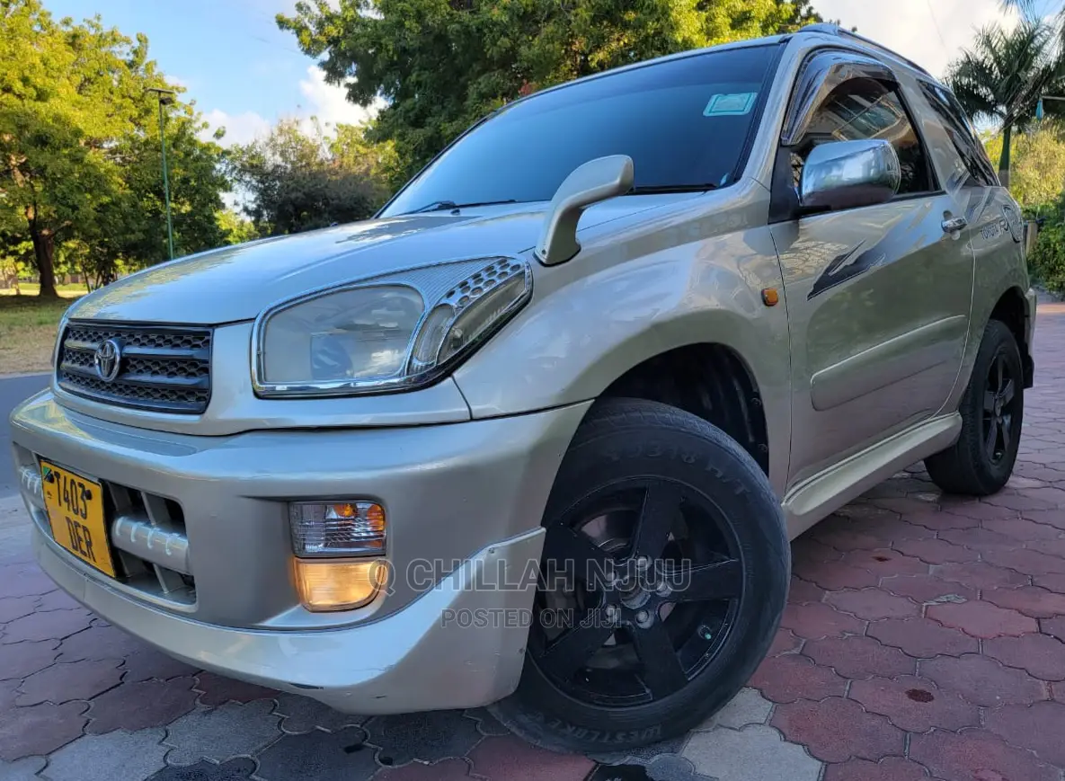 Toyota RAV4 2004 Silver
