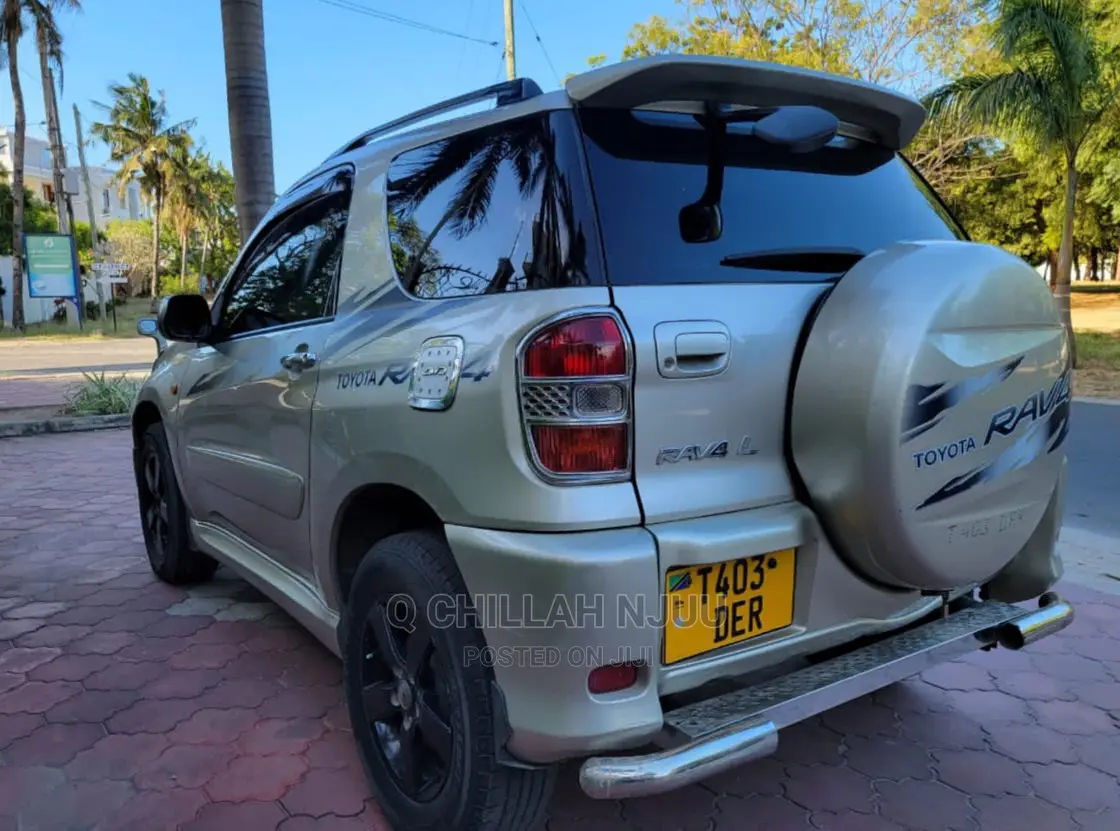 Toyota RAV4 2004 Silver