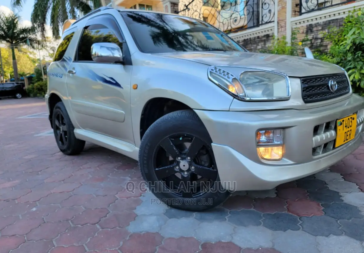 Toyota RAV4 2004 Silver