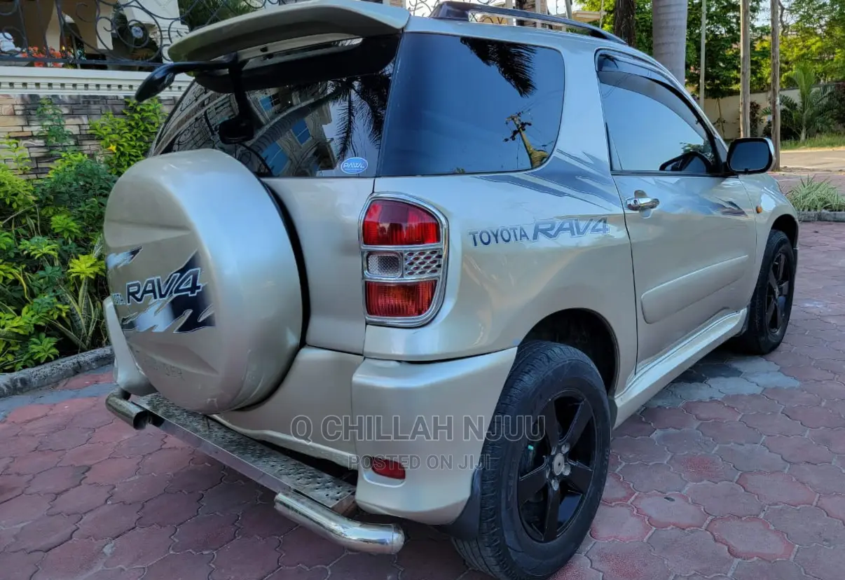 Toyota RAV4 2004 Silver