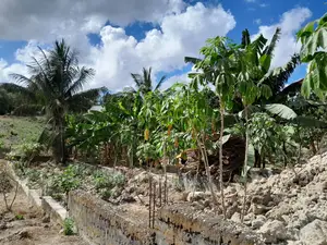 Plot Inatizama Lami at Kinyerezi
