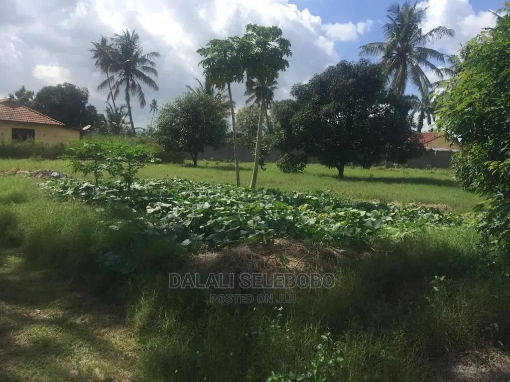 3bdrm House in Tabata Chama for sale