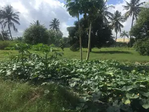 3bdrm House in Tabata Chama for sale