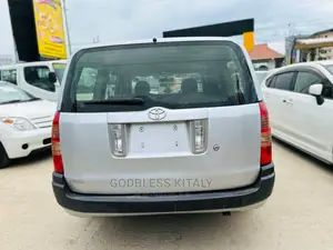 Toyota Probox 2006 Silver