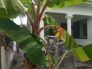 3bdrm House in Mbagala Msongola, Ilala for sale