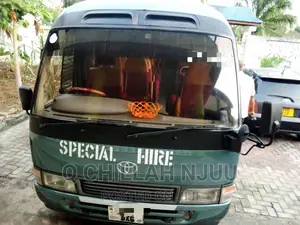 Toyota Coaster 2004 Grey