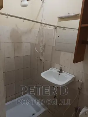 Studio Apartment in Mikocheni for rent