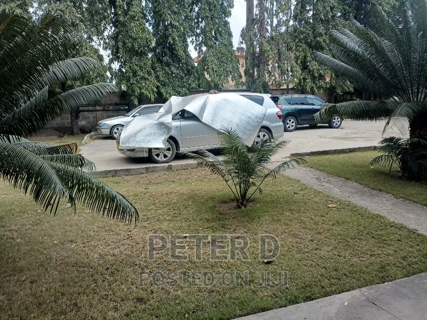 Studio Apartment in Mikocheni for rent