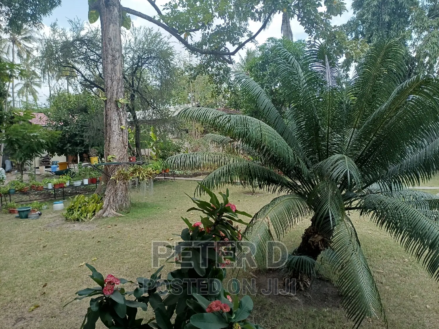Studio Apartment in Mikocheni for rent