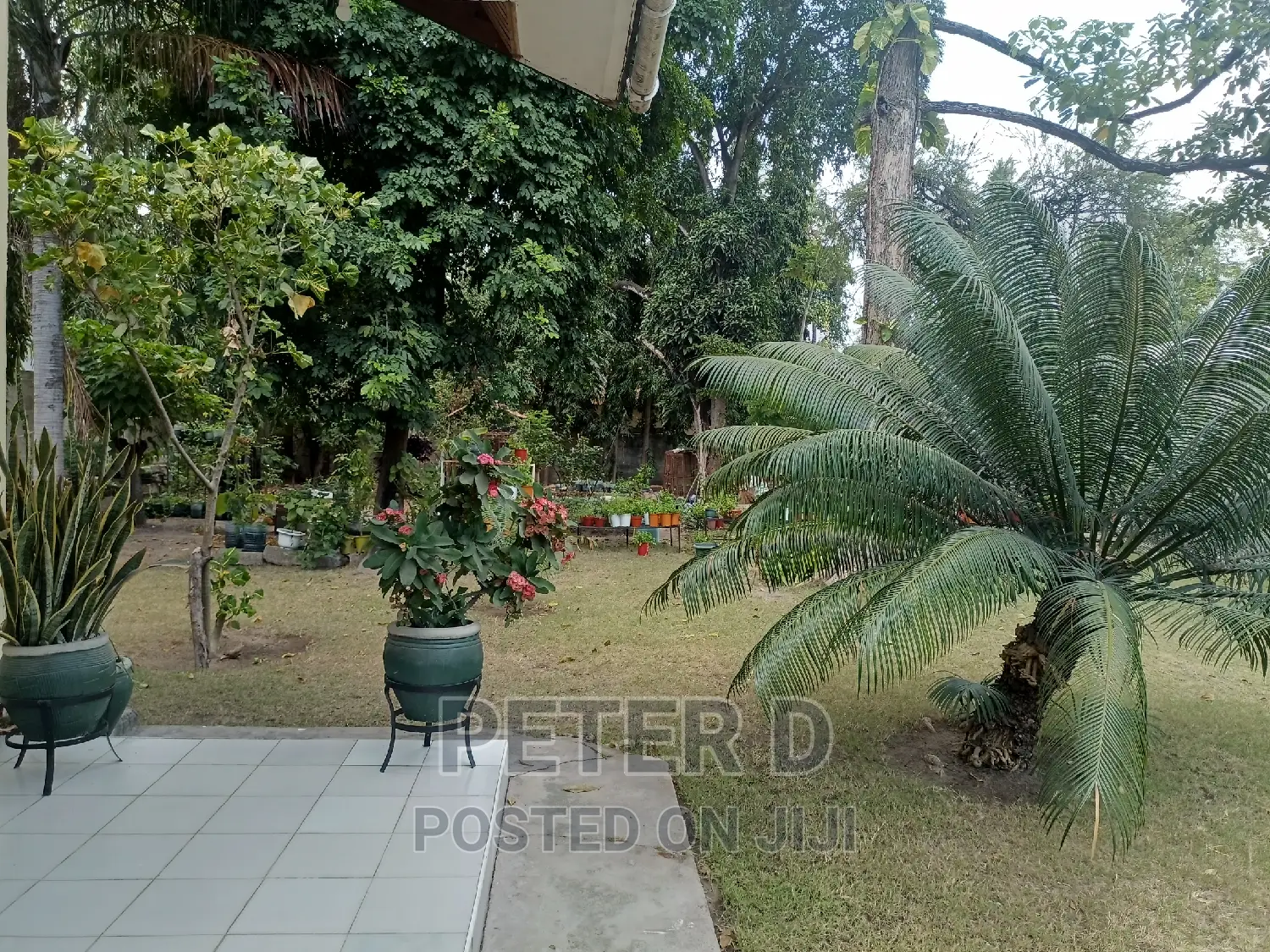 Studio Apartment in Mikocheni for rent
