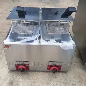 Stainless Steel Gas Deep Fryer 12 Liters