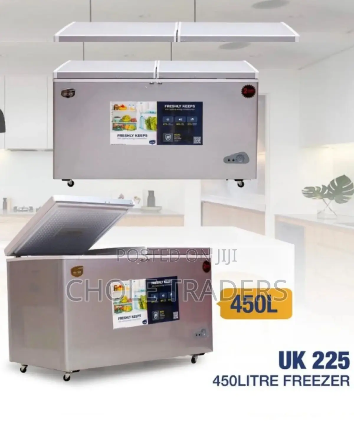 450-Litres 2-Door Freezer