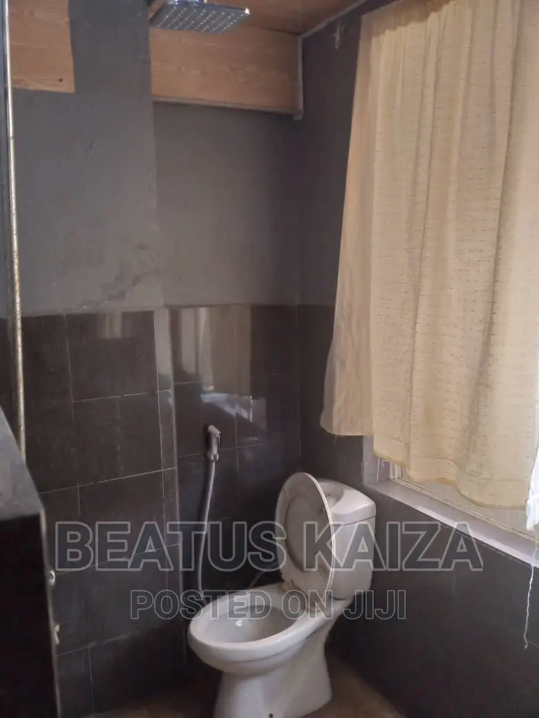 1bdrm Apartment in Kariakoo Livingstone for rent