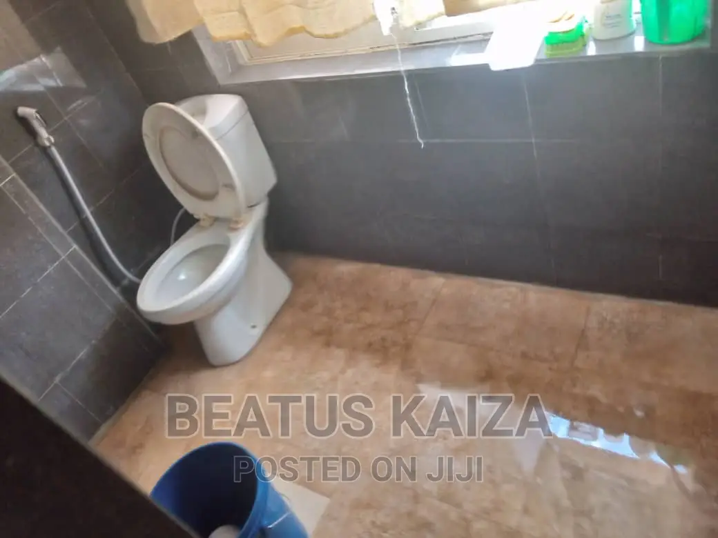 1bdrm Apartment in Kariakoo Livingstone for rent