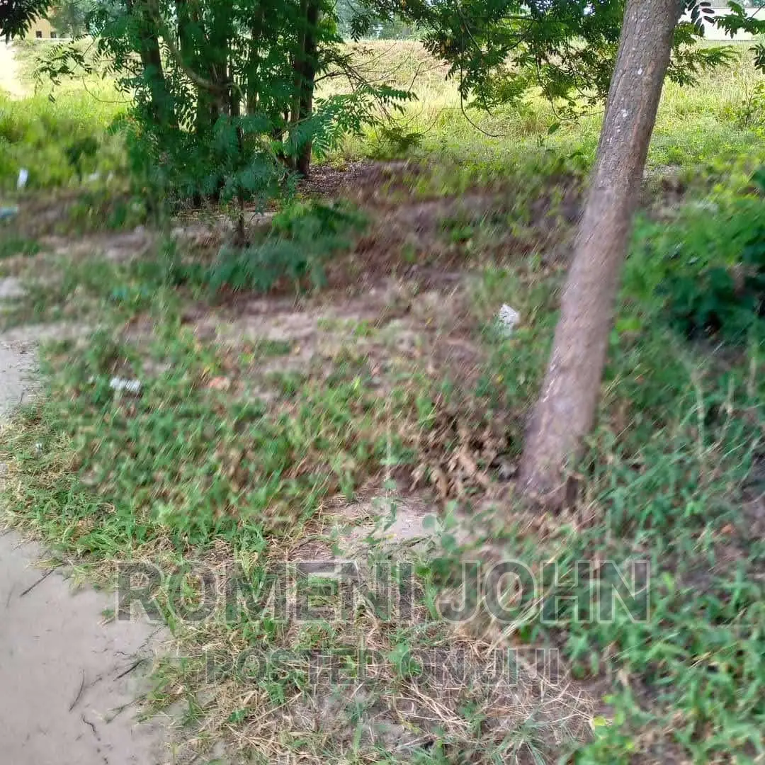 Heka 1 Inauzwa Milioni 105 Kibaha Mlandizi