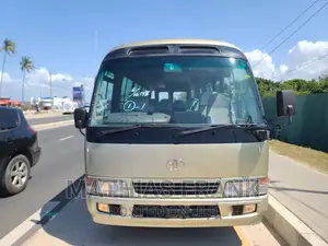 Toyota Coaster 2002 Beige