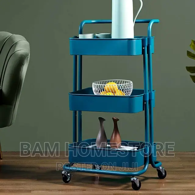 Movable Storage Organizer